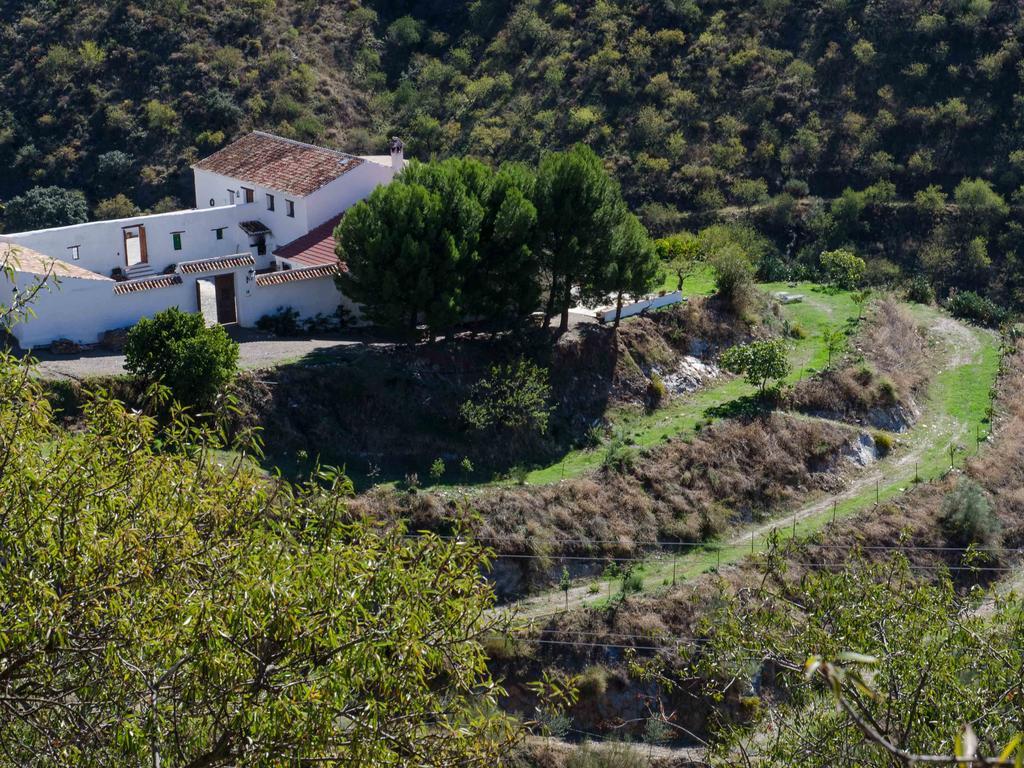 Гостьовий будинок Cortijo Juan Salvador Olias Екстер'єр фото