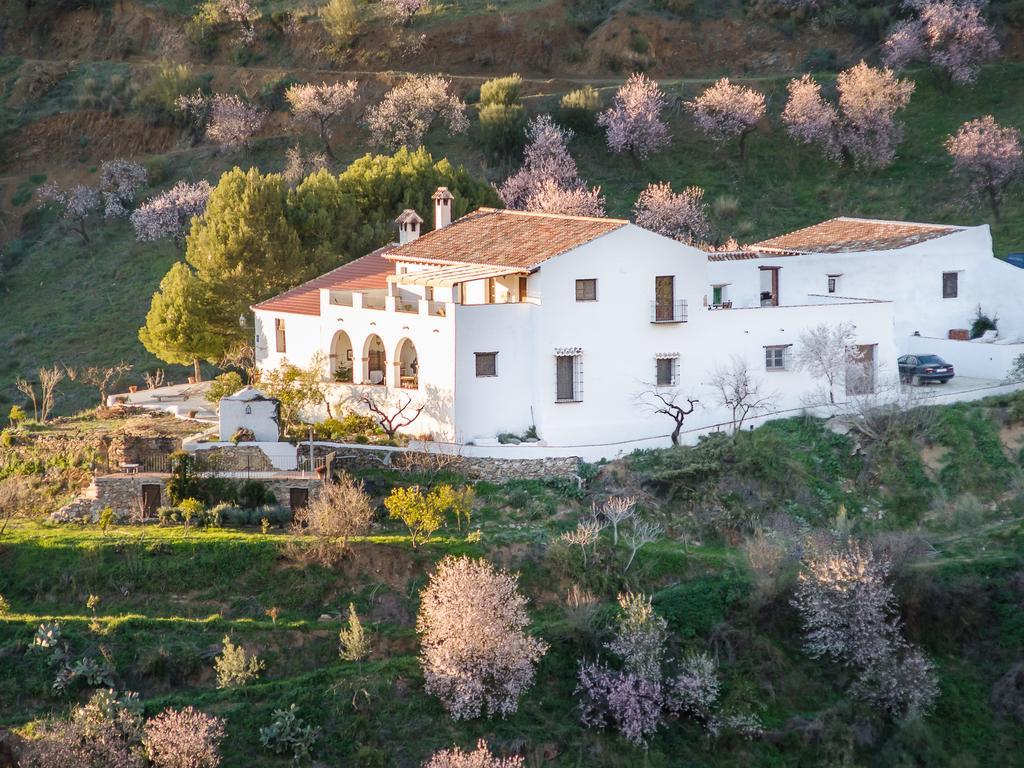 Гостьовий будинок Cortijo Juan Salvador Olias Екстер'єр фото
