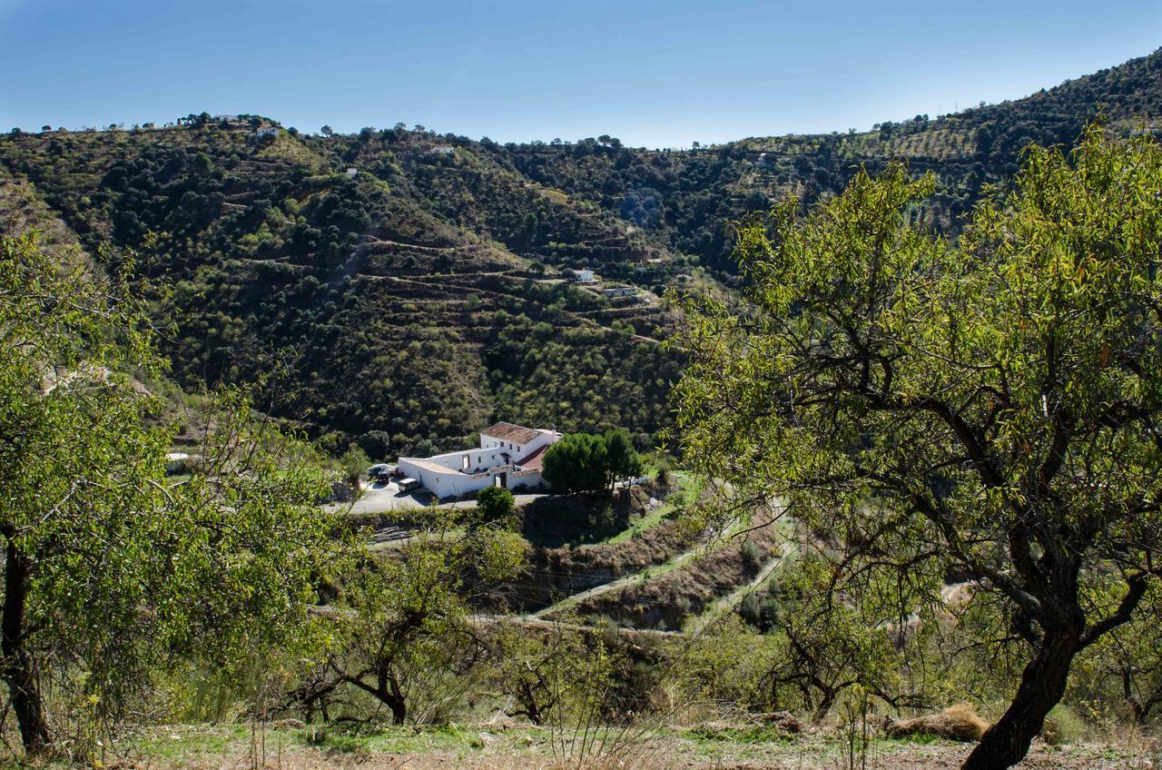 Гостьовий будинок Cortijo Juan Salvador Olias Екстер'єр фото