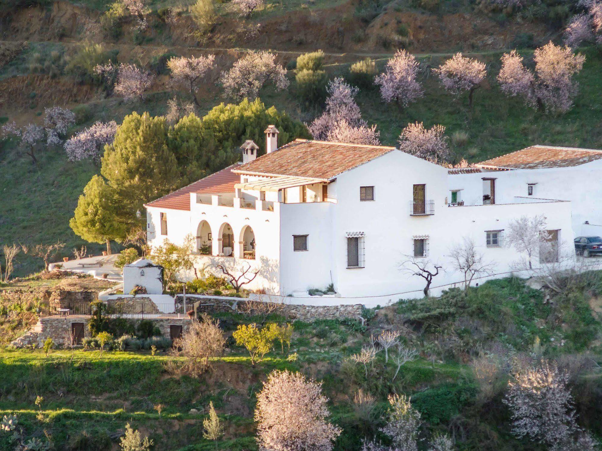 Гостьовий будинок Cortijo Juan Salvador Olias Екстер'єр фото